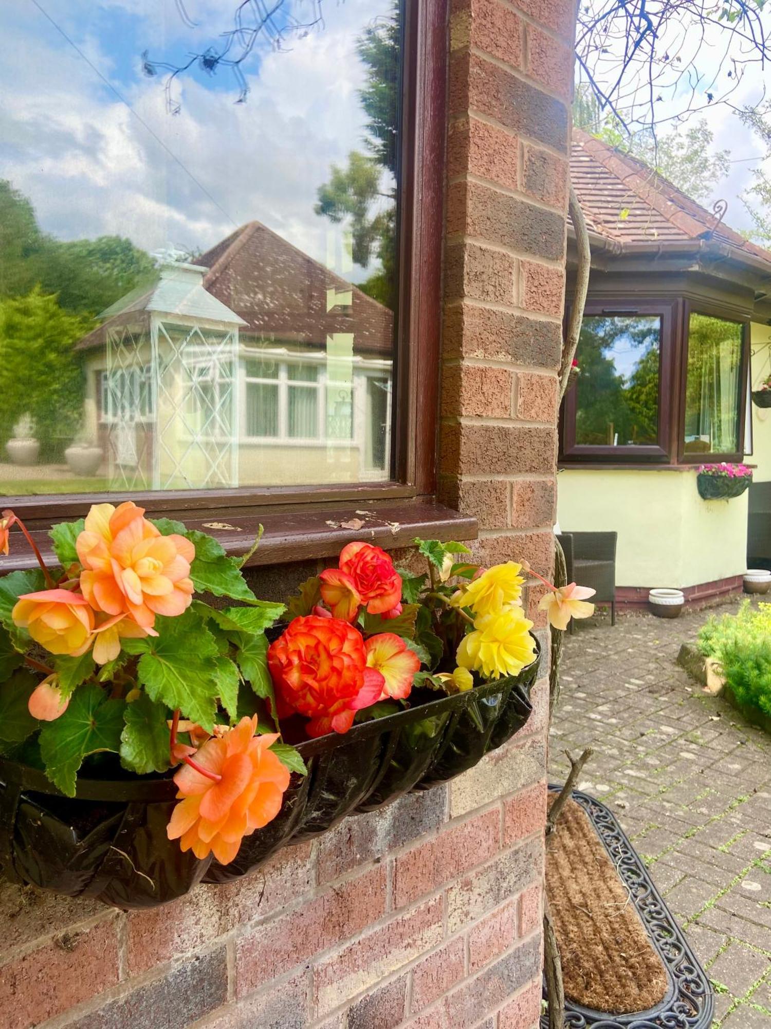 The Cottage On The Common تينبوري المظهر الخارجي الصورة